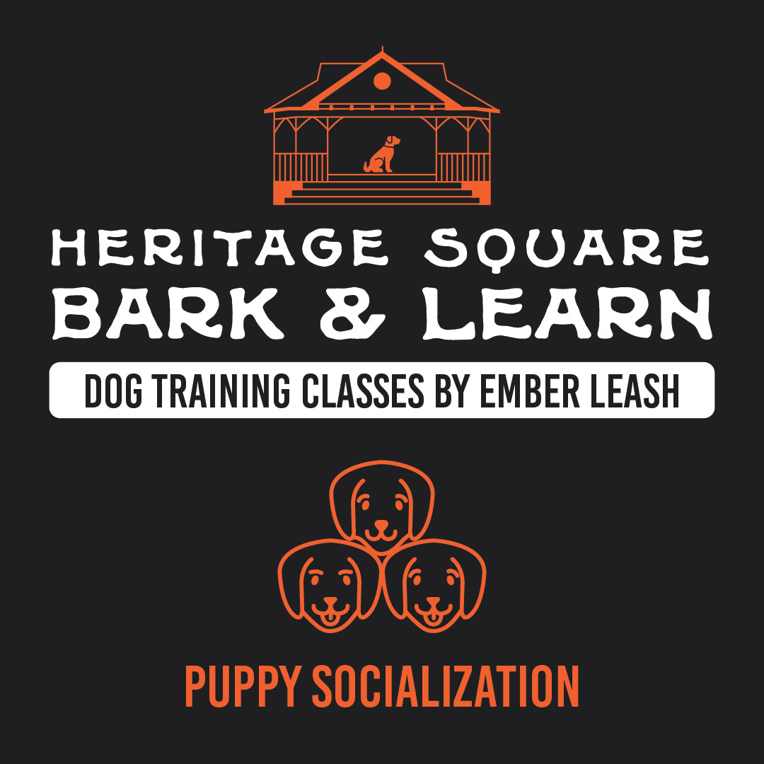 Heritage Square Bark & Learn: Puppy Socialization Class Fee