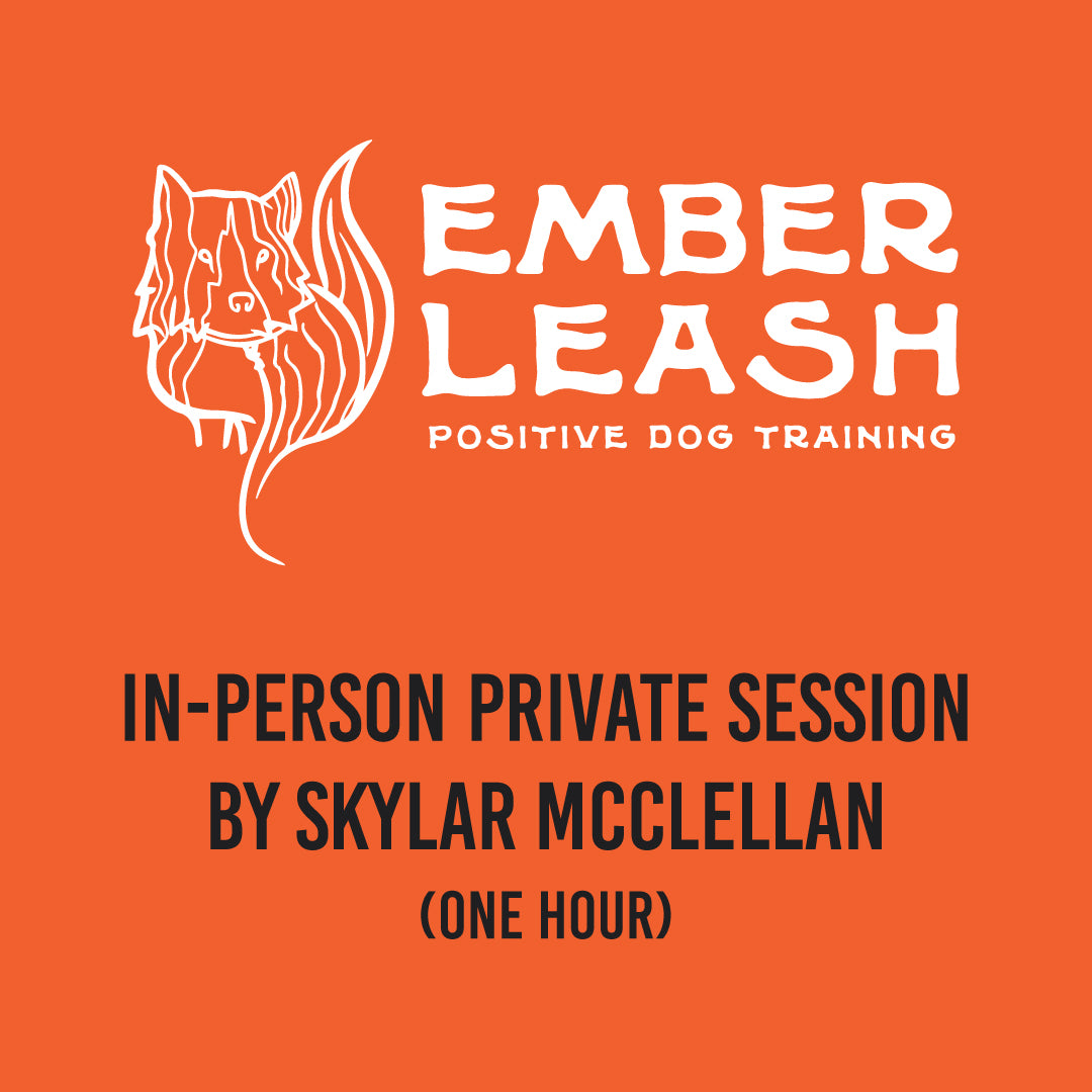 In-Person Private Session: $120 (plus travel over 20 miles)