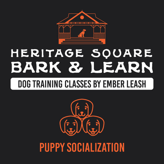 Heritage Square Bark & Learn: Puppy Socialization Class Fee