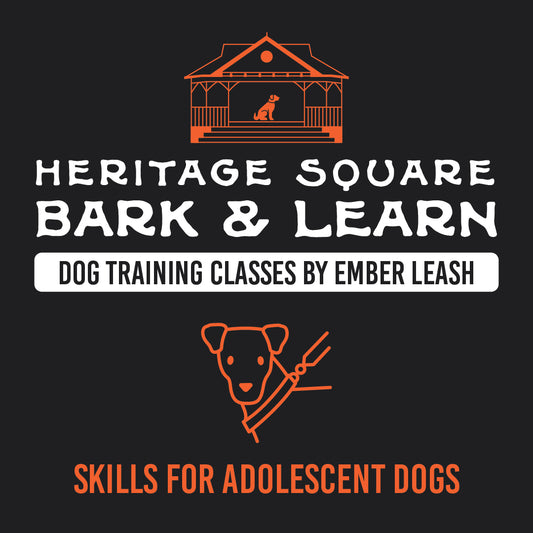 Heritage Square Bark & Learn: Skills For Adolescent Dogs Class Fee