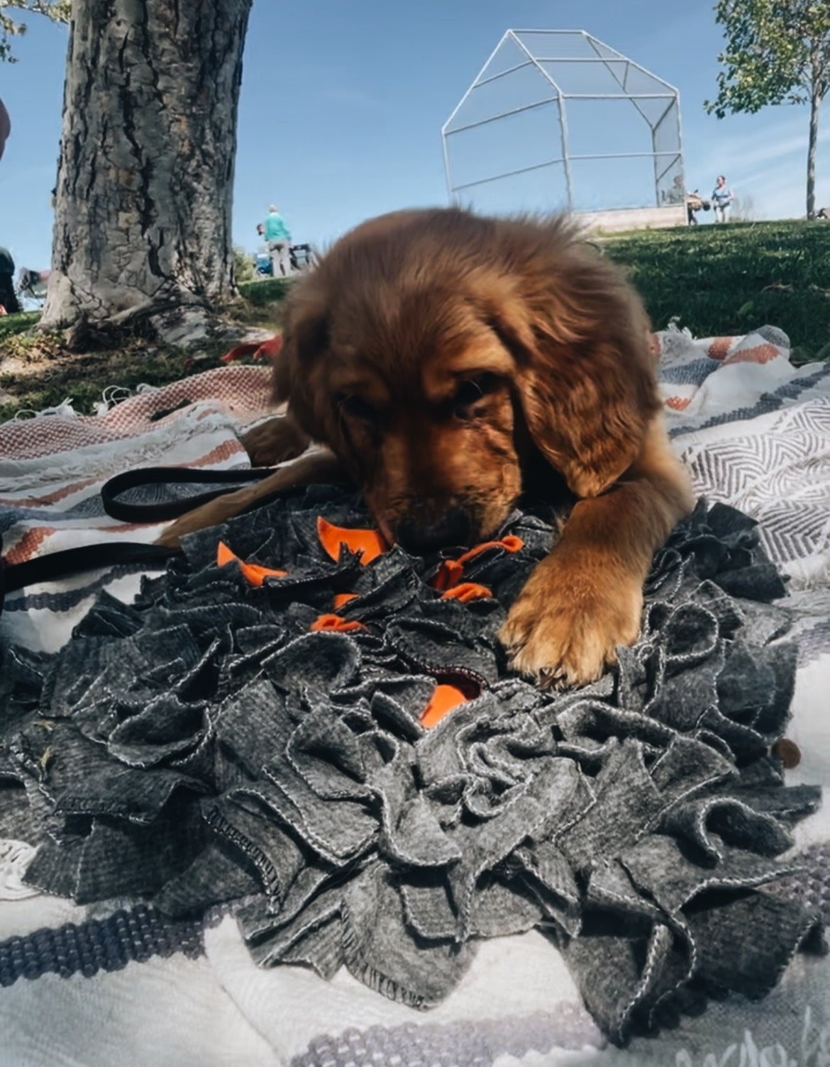 Campfire Snuffle Mat