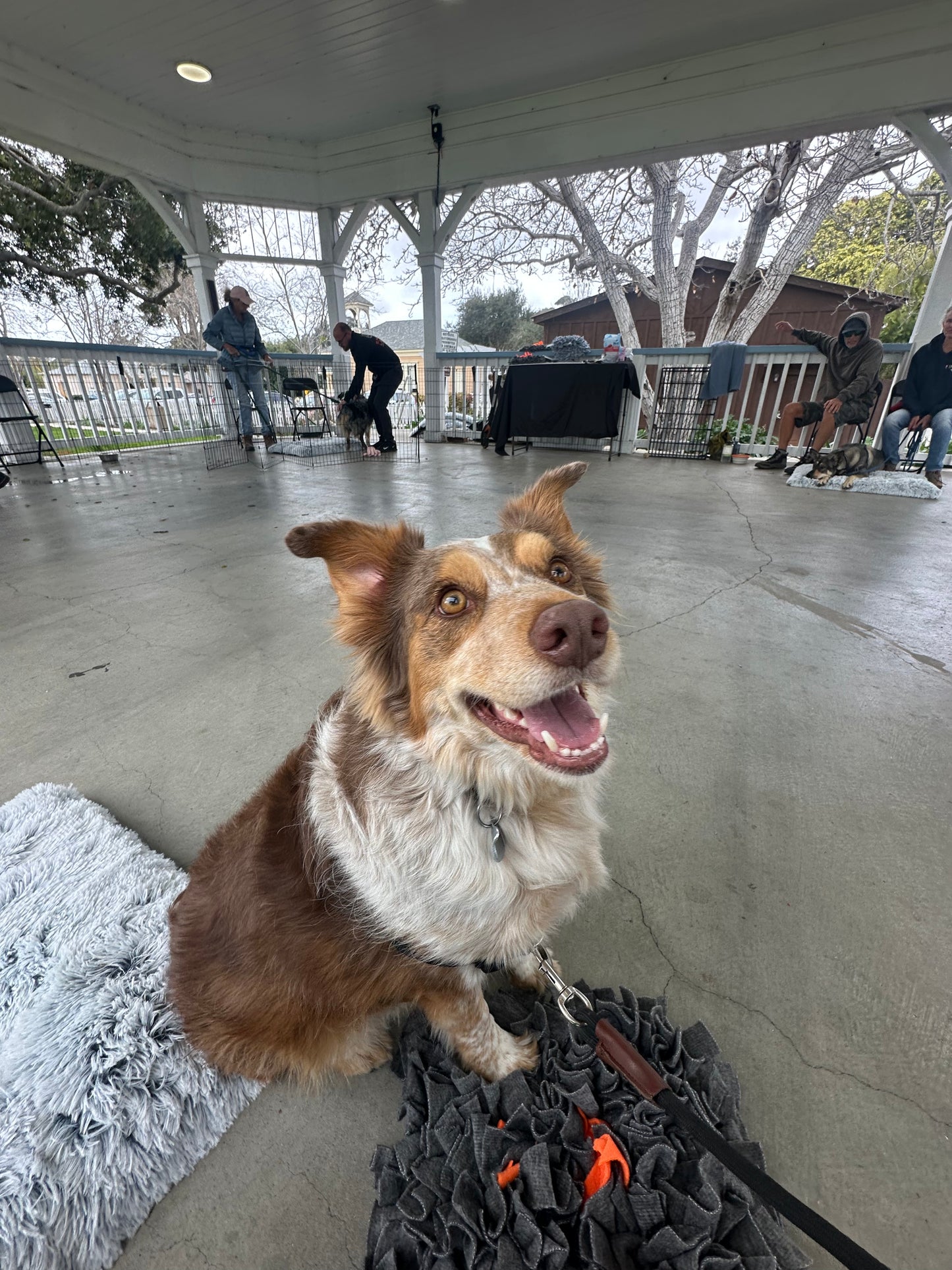Campfire Snuffle Mat
