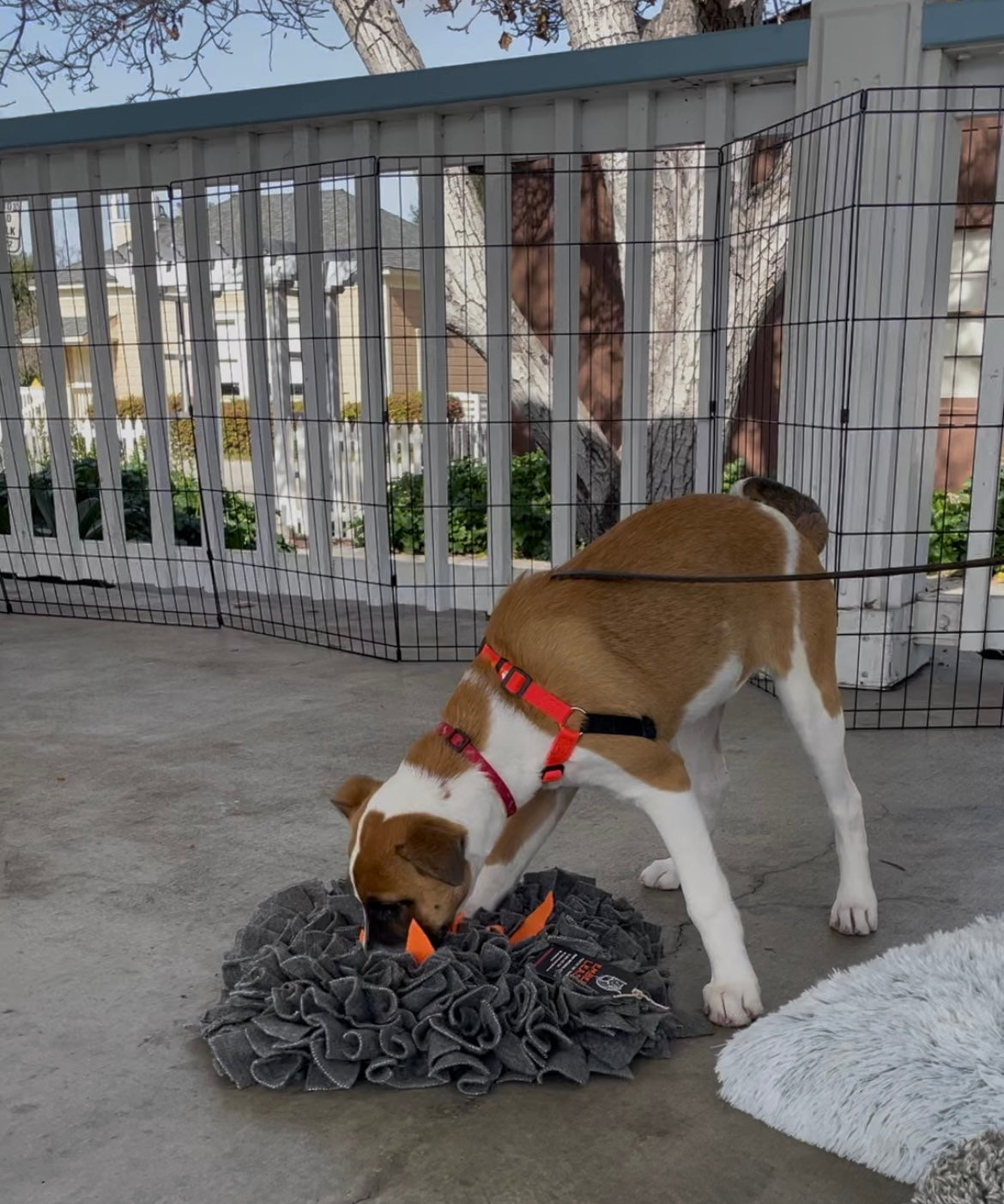 Campfire Snuffle Mat