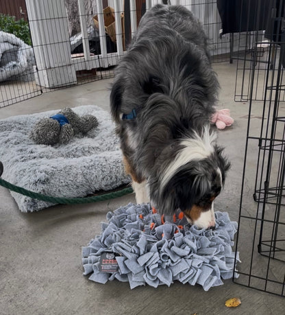 Campfire Snuffle Mat