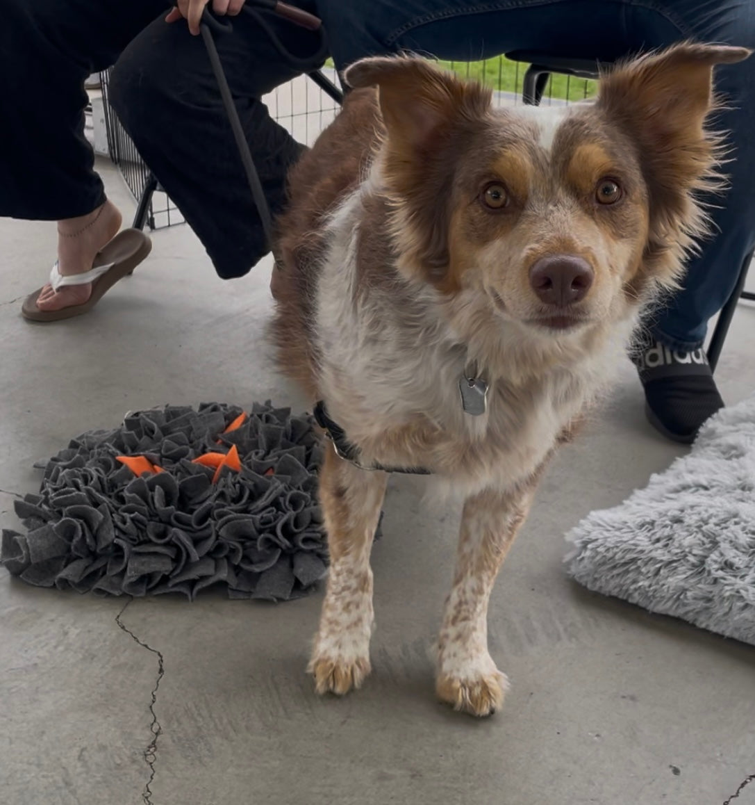 Campfire Snuffle Mat