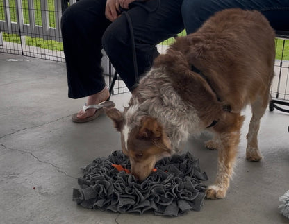 Campfire Snuffle Mat