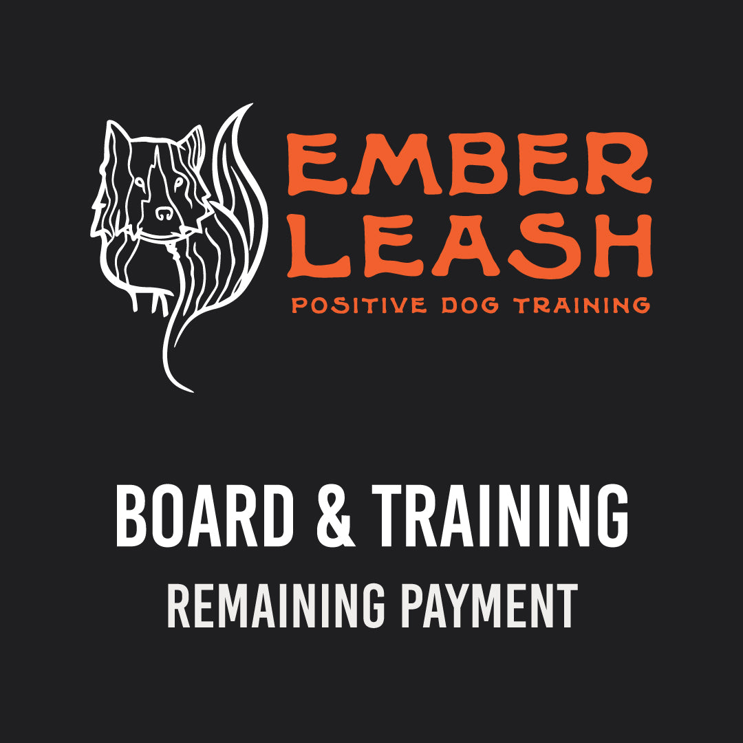 Board & Train Program – Remaining Balance Payment ($3300)