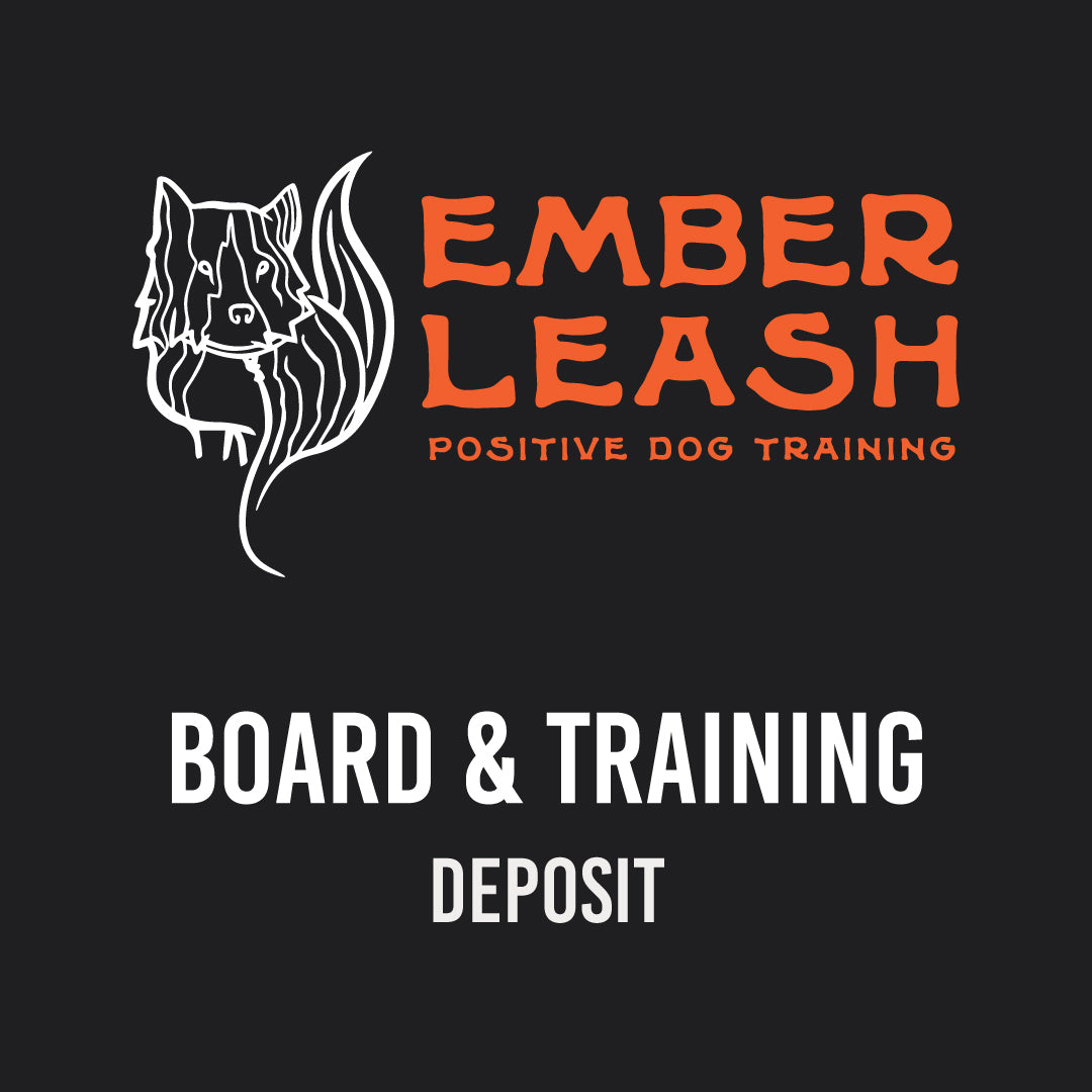 Board & Train Program – Reservation Deposit ($500)