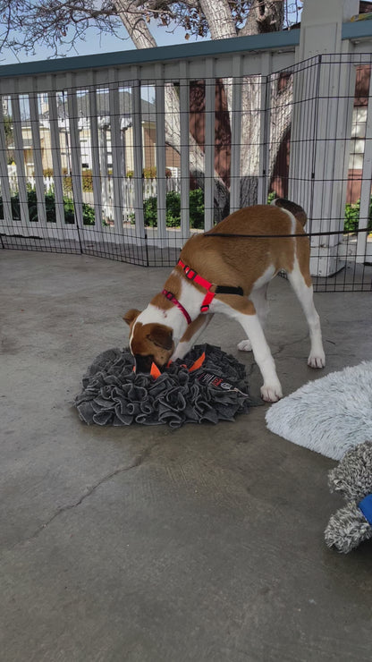 Campfire Snuffle Mat